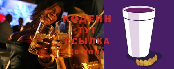 твердый Арсеньев
