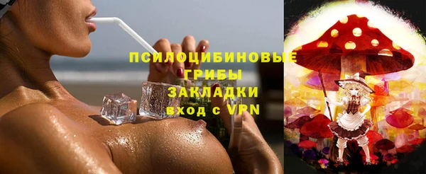 твердый Арсеньев